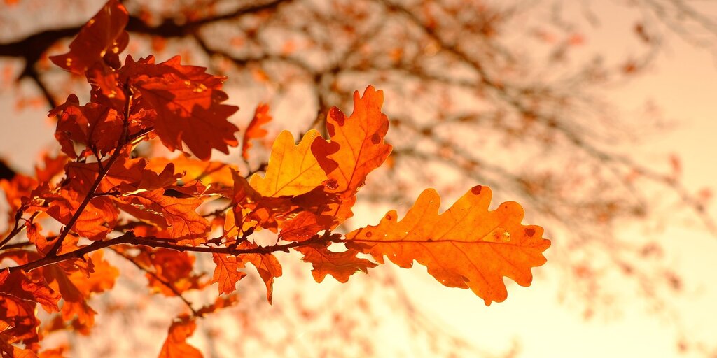 Руза - викторины и конкурсы с денежными призами на Хитфан!